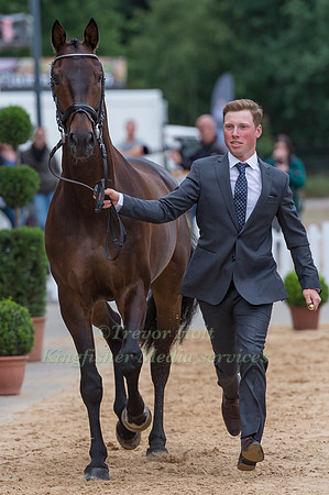 FELIX ETZEL (GER) AND BANDIT 436