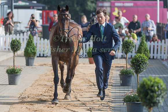 SAM WATSON (IRL) AND HORSEWARE ARDAGH HIGHLIGHT