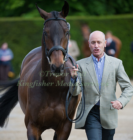Andrew Hoy and Rutherglen