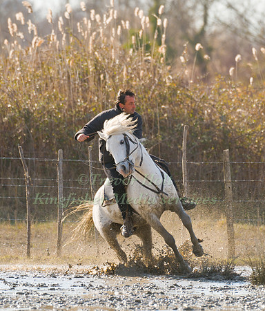 A Guardian competing in the handling test