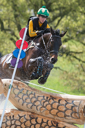 NICKY HILL (GBR) RIDING  MGH BINGO BOY COMPETING IN THE CROSS COUNTRY PHASE OF THE  CIC THREE STAR COMPETITION AT THE  2017 DODSON AND HORRELL CHATSWORTH INTERNATIONAL HORSE TRIAL.