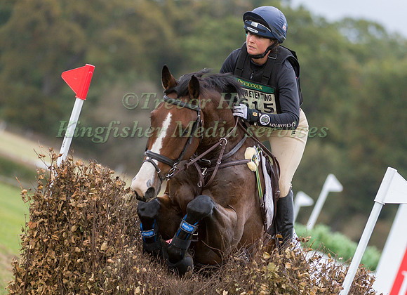 PIGGY FRENCH RIDING SPORTSFIELD TOP NOTCH