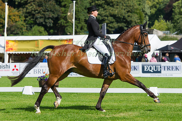 MEGAN  HEATH (NZL) RIDING CAMELOT