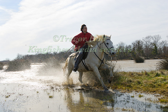 A Guardian competing Cross Country Camargue Style