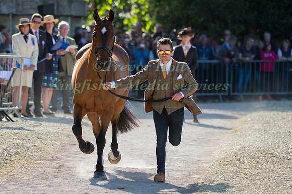 Ben Hobday  of Great Britain  and Mulrys Error