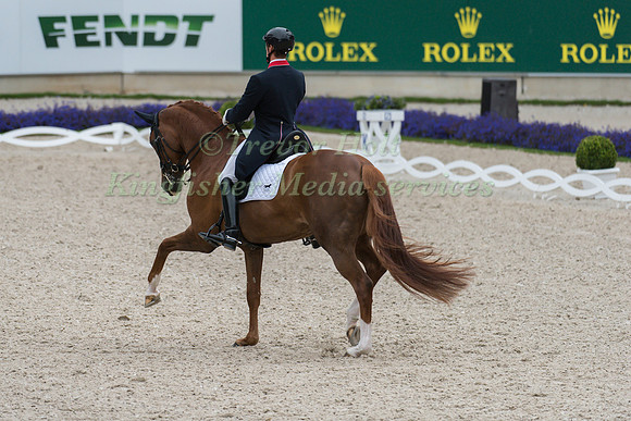Michael Eilberg ((GBR)) and Woodlander Farouche taking part in the Prize of VUV - Vereinigte Unternehmerverbände Aachen Prix St. Georges CDI4*