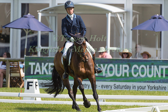 Francis Whittington (GBR) riding Fernhill Highlight