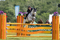 MARIE-CAROLINE  BARBIER (FRA) AND PICASSO D'OREAL TAKING PART IN THE SHOWJUMPING PHASE OF THE  BISHOP BURTTON COLLEGE CCI THREE STAR U25  COMPETITION AT THE 2017 EQUI-TREK BRAMHAM INTERNATIONAL HORSE