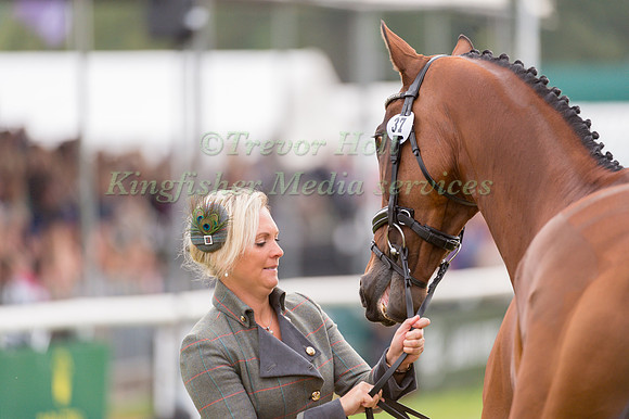 Gemma Tattersall (GBR) and Arctic Soul