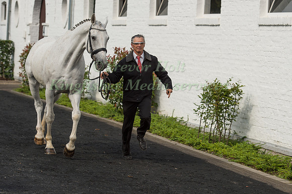 Gilles Bordes (FRA) and Orion de Cavalhac