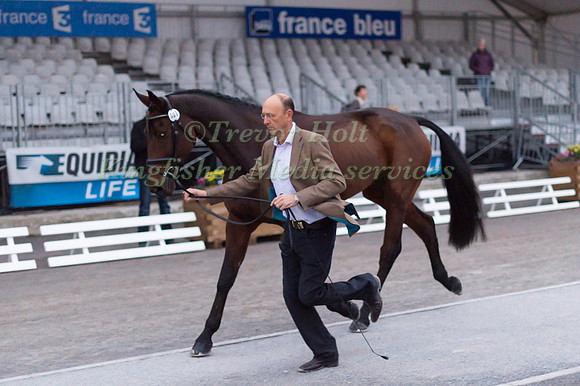 Bill Levett of Australia and Shannondale Titian