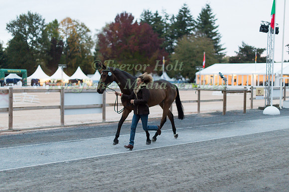 Sara Bullimore of Great Britain and Reve Du Rouet