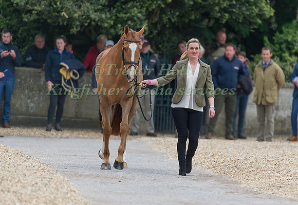 Clare Abbott (IRL) and Euro Prince at the Final  Horse Inspection of the 2017 Mitsubishi Motors Badminton Horse Trials