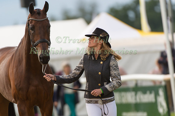 Dee Hankey (GBR) and  Chequers Playboy