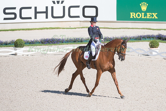 PIGGY FRENCH (GBR) AND QUARRYCREST ECHO