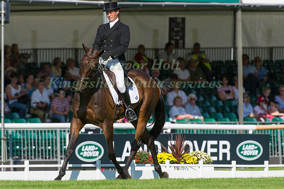 Lawrence Hunt and Phoebus