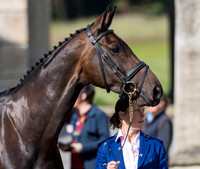 EMILY PHILP (GBR) AND FALLULAH