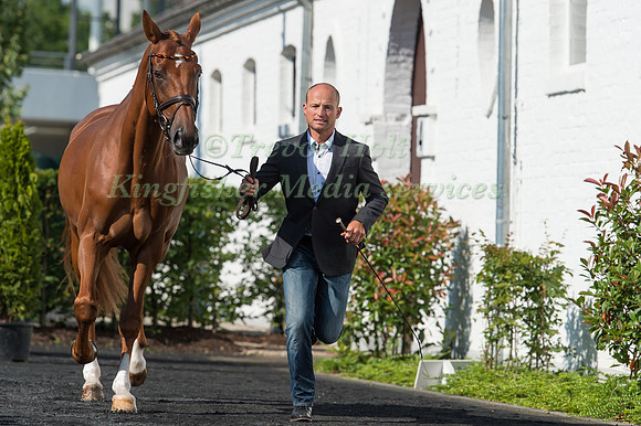 Michael Jung (GER) and  Fischer Takinou at the Horse inspection of the CICO Aachen 2016