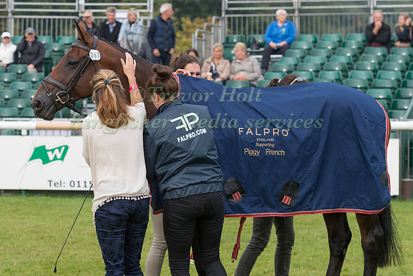 Piggy French (GBR) and Vanir Kamira