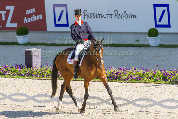 Harry Meade riding Wild Lone taking part in the dressage test