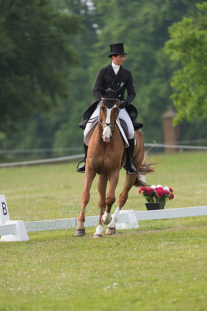 Alberto  Giugni (ITA) riding  Mollington II
