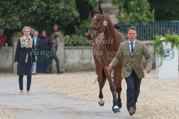 Austin O'Connor (IRL) and Kilpatrick Knight at the Final  Horse Inspection of the 2017 Mitsubishi Motors Badminton Horse Trials
