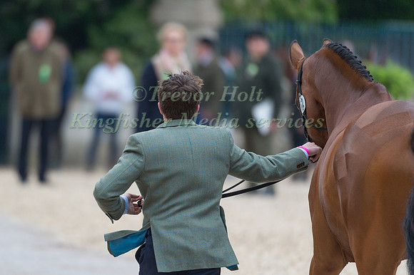 Tom McEwen (GBR) and Toledo de Kerser at the Final  Horse Inspection of the 2017 Mitsubishi Motors Badminton Horse Trials