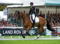 Harry Dzenis (GBR) riding Dromgurrihy Blue competing in the dressage test