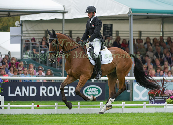 Harry Dzenis (GBR) riding Dromgurrihy Blue competing in the dressage test