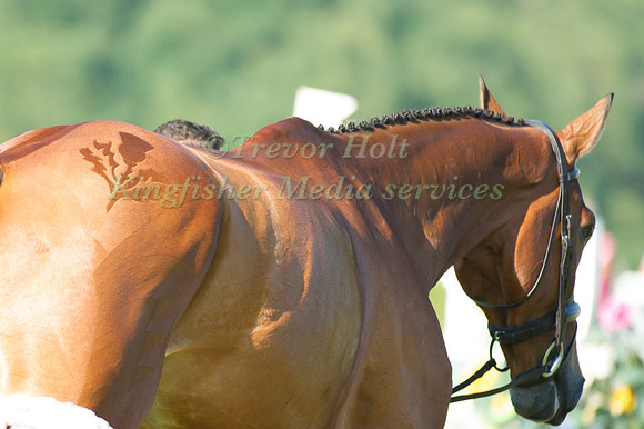 Gemma Tattersall (GBR) riding Arctic Soul taking part in the Show Jumping Phase