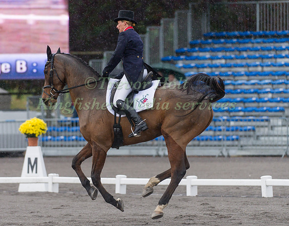 Mary King and Imperial Cavalier