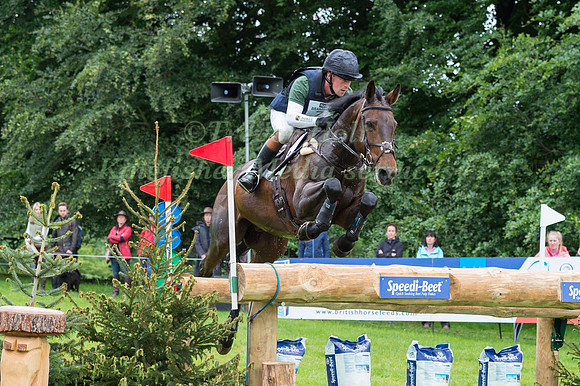 SIMON GRIEVE (GBR) AND DOUGLAS TAKING PART IN THE CROSS COUNTRY PHASE OF THE  CCI THREE STAR COMPETITION AT THE 2017 EQUI-TREK BRAMHAM INTERNATIONAL HORSE TRIALS