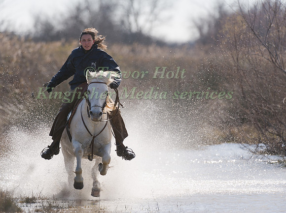 A Guardian competing Cross Country Camargue Style