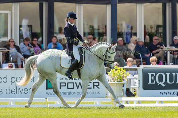 Katrin Norling (SWE) riding Zarina Cora