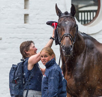 ROSALIND CANTER AND ALLSTAR B