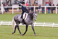 Andrew Nicholson and Tristar II