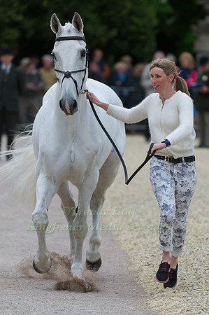 Louisa Milne Home and King Eider