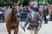 Mark Todd (NZL) and Oloa