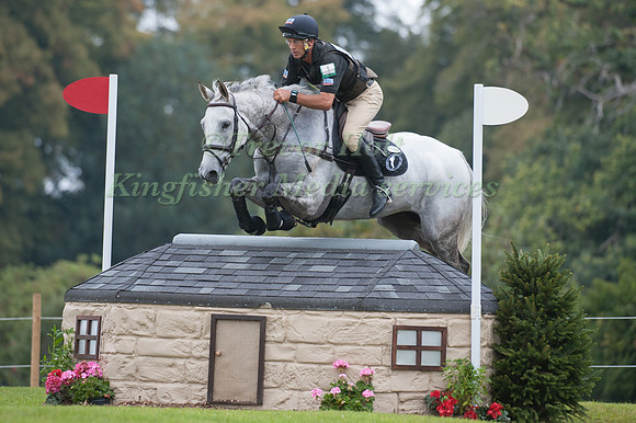 Andrew Nicholson and Avebury