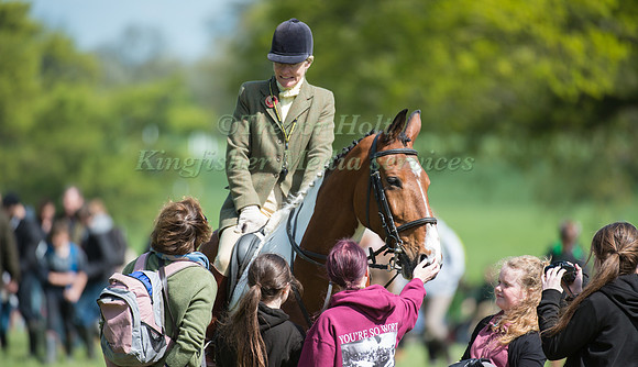 Spectators Pat Horse
