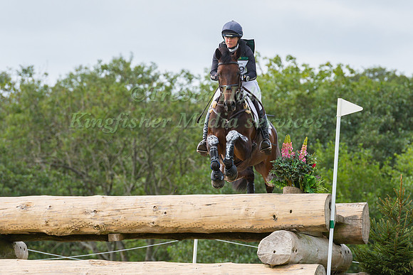 PIGGY MARCH RIDING  BROOKFIELD QUALITY.