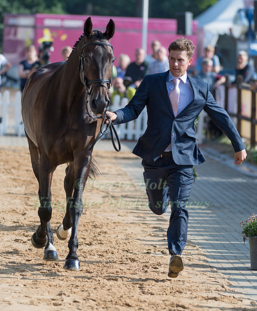 TOM CRISP (GBR) AND LIBERTY AND GLORY