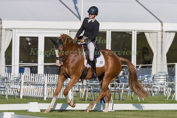 CAROLINE CLARKE  AND NIGHT PROWLER