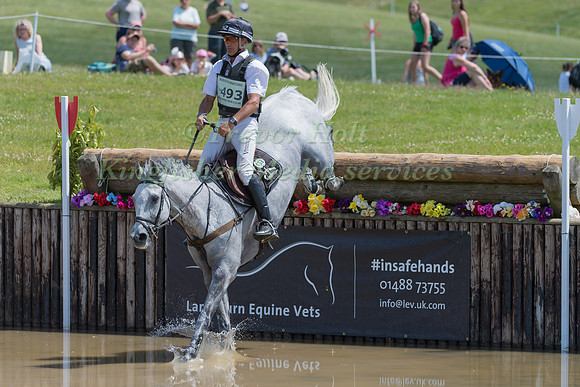 ANDREW  NICHOLSON (NZL) AND SWALLOW SPRINGS