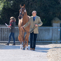 Bill Levett (AUS) and Lates Quin