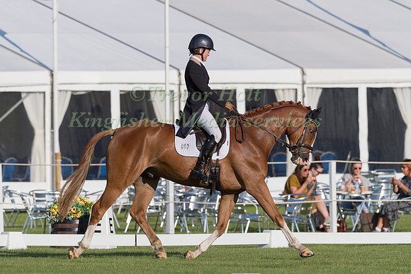 CAROLINE CLARKE  AND NIGHT PROWLER