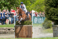 BUBBY UPTON RIDING  MAGIC ROUNDABOUT IV