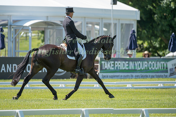 Andrew Nicholson (NZL) riding Mhs King Joules