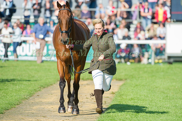 Bill Levett and Improvise taking part in the Show Jumping Phase