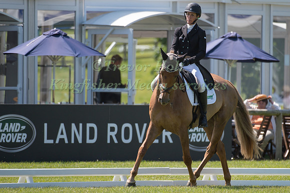 Caroline Powell (NZL) riding Halltown Harley